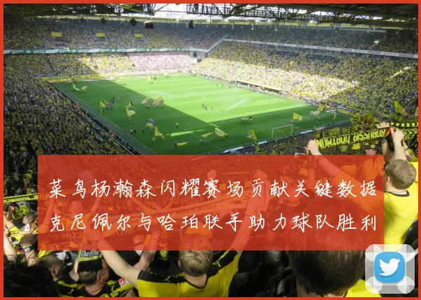 菜鸟杨瀚森闪耀赛场贡献关键数据克尼佩尔与哈珀联手助力球队胜利