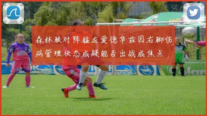 森林狼对阵猛龙爱德华兹因右脚伤病管理状态成疑能否出战成焦点