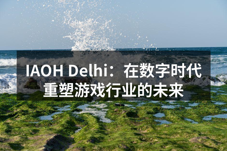 IAOH Delhi:在数字时代重塑游戏