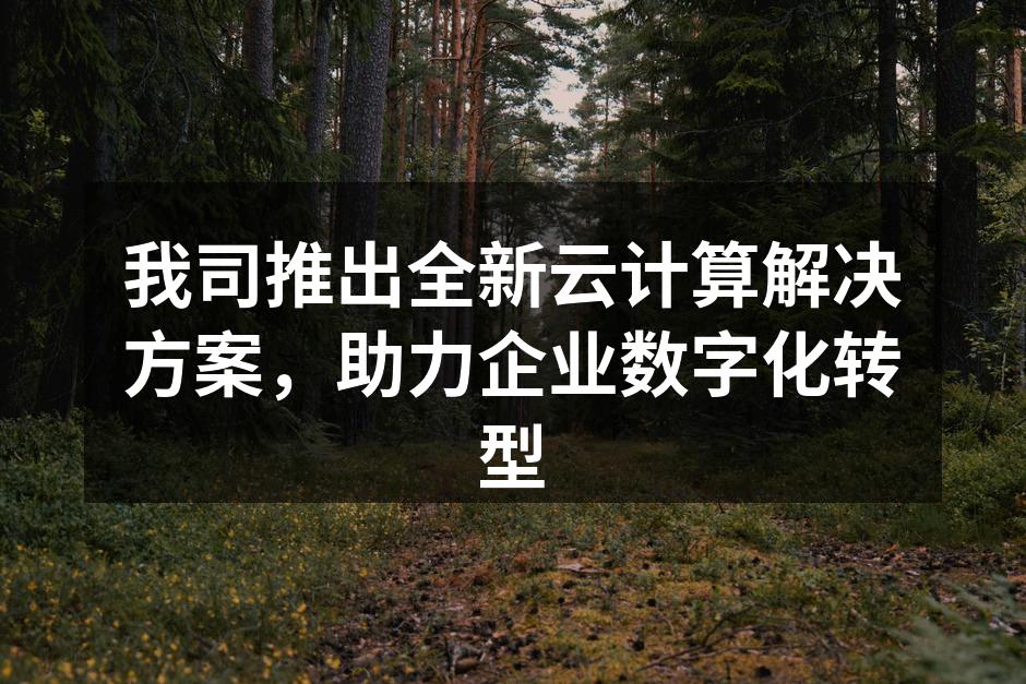 我司推出全新云计算解决方案,助力企业数字