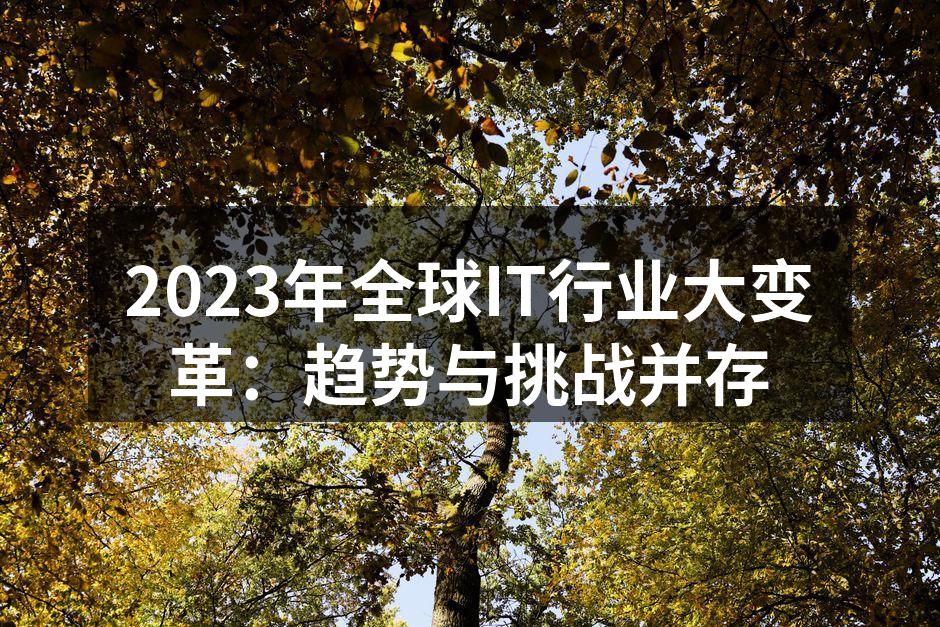 2023年全球IT行业大变革：趋势与挑战